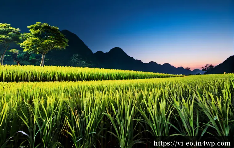 Nhiệt độ và độ ẩm nào phù hợp cho giấc ngủ trưa trong phòng điều hòa? 4 낮잠의 적정 온도 및 습도 설정 관련 이미지 2